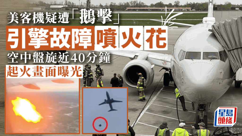 美客機疑遭「鵝擊」噴火花,乘客從機艙窗戶拍攝的影片及地面居民的目擊畫面都相當驚嚇。