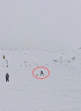 知情人提供影片,指狐狸遭滑雪场职员围殴致死。 知情人提供影片,指狐狸遭滑雪场职员围殴致死。