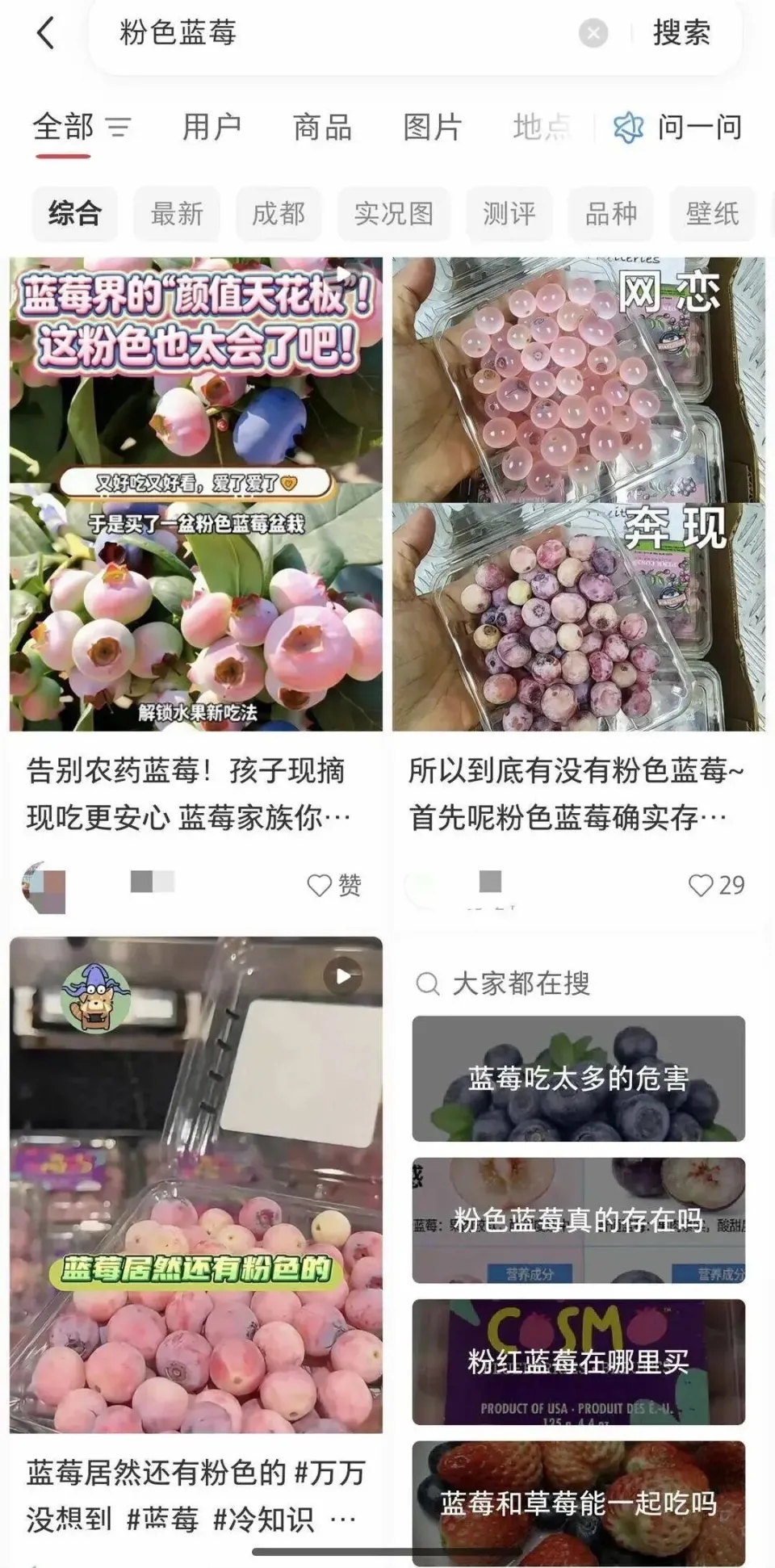 粉色蓝莓成网上热话。