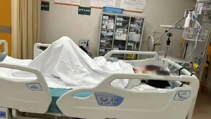 上海反虐貓義工遭「起底」後輕生。滄洲晚報