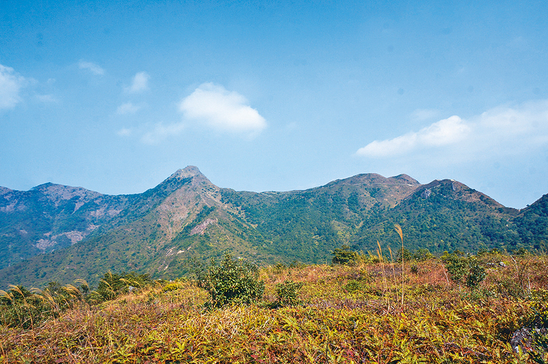 ●從富安花園後方的梅子林路起步,經過石林可登上石壟仔山頂,賞到奇石及秀麗山景。