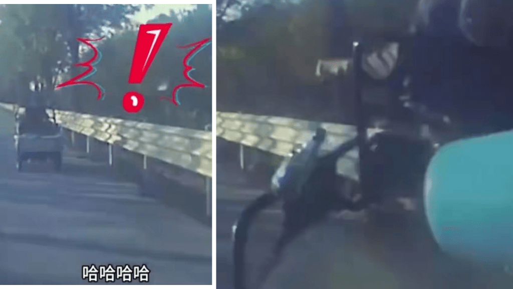 山東一對情侶開車只顧打鬧,撞死一名三輛車司機。