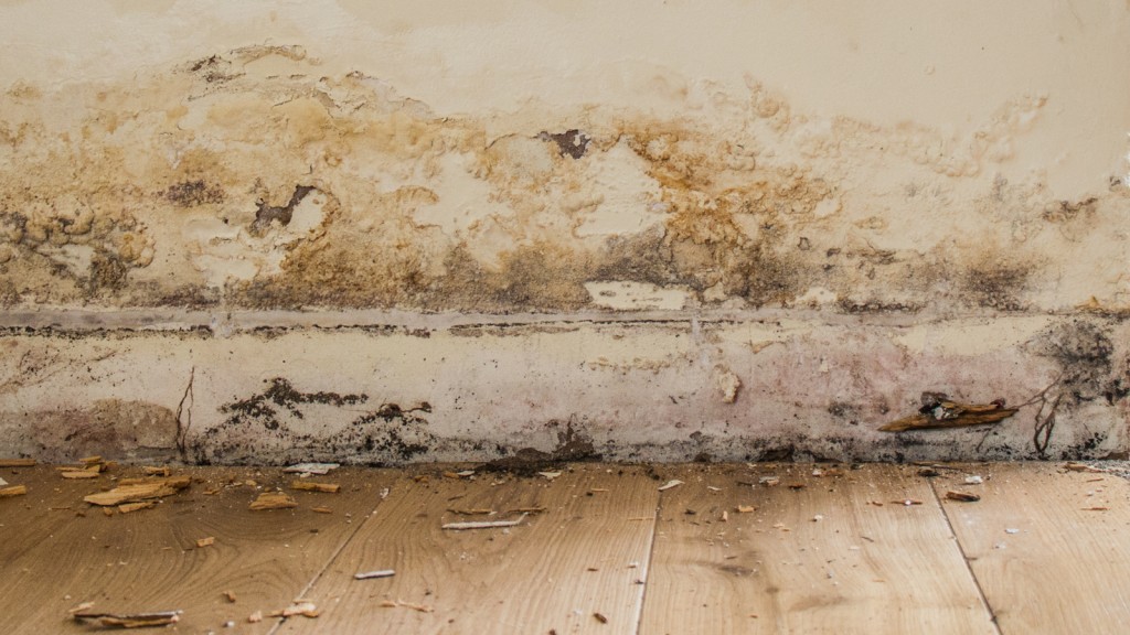 上升的潮湿不仅是墙上难看的污渍，若不加以处理，更有可能使木材腐烂，损坏物业结构。