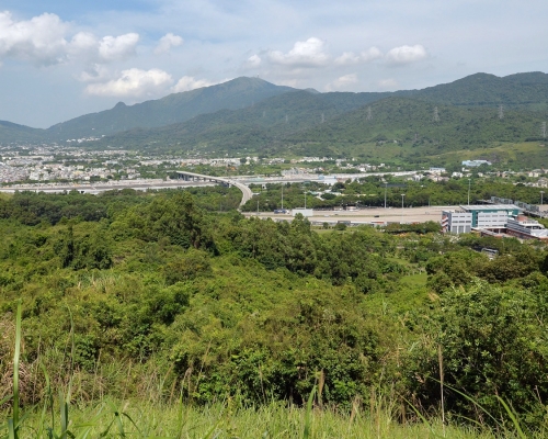 房協研究的其中一幅土地，位於大欖隧道收費廣場以西。資料圖片