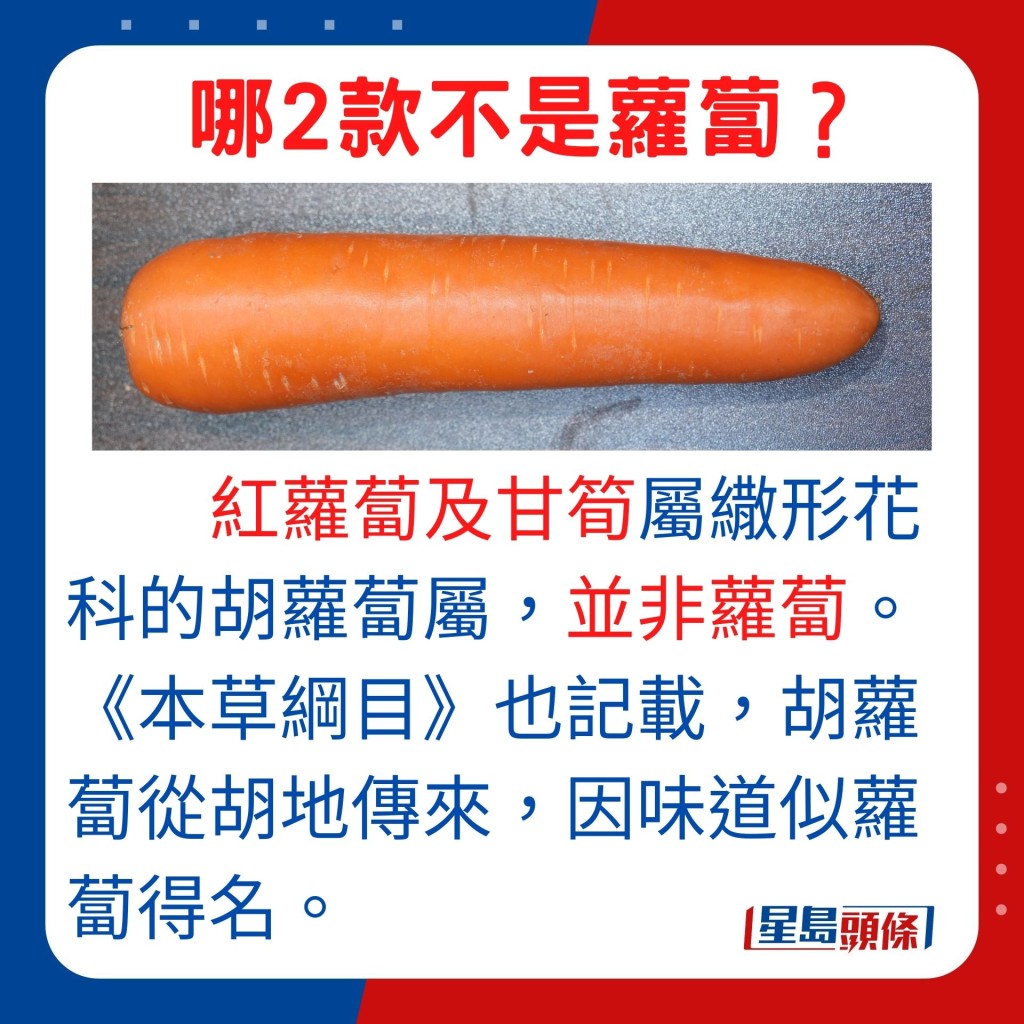 又名胡萝卜的红萝卜，并非萝卜的一种，而是伞形花科的胡萝卜属，据《本草纲目》也记载，胡萝卜从胡地传来，因味道似萝卜得名。