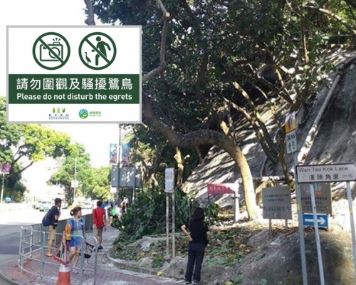 嘉道理農場呼籲市民不要圍觀及騷擾雀鳥。嘉道理農場暨植物園facebook