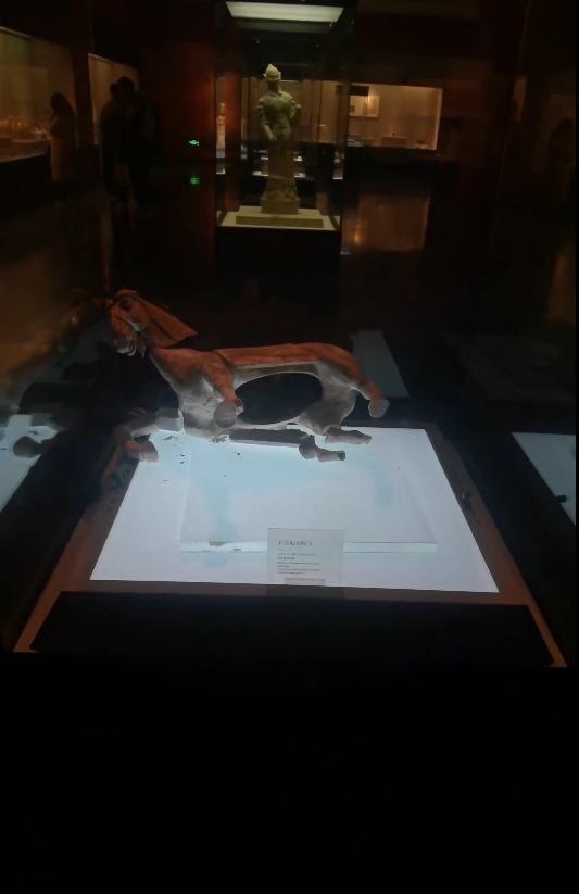 洛陽博物館的唐代陶馬在展示櫃內跌倒碎裂。抖音＠徐曉媛有泡菜