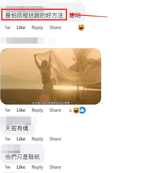 facebook截圖（資料來源：Din Dong ＠facebook車cam L（香港群組））