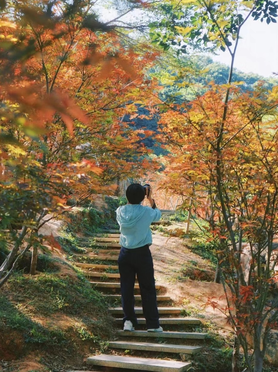 帽峰山紅楓(圖片來源：小紅書@小可的旅遊日記)