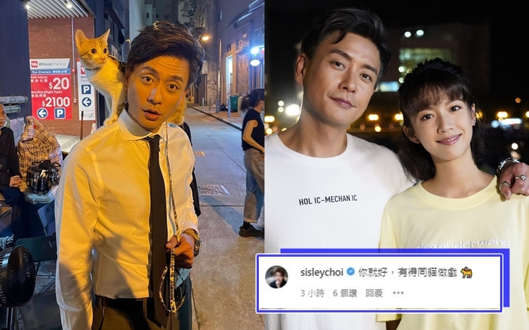 人哋啲貓永遠唔會令你 失望。