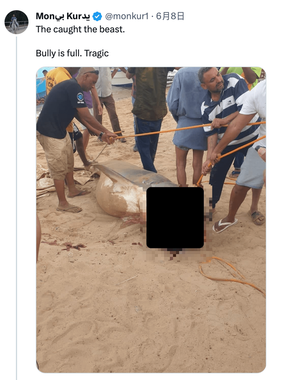 虎鯊被捕的消息引起民眾關注。
