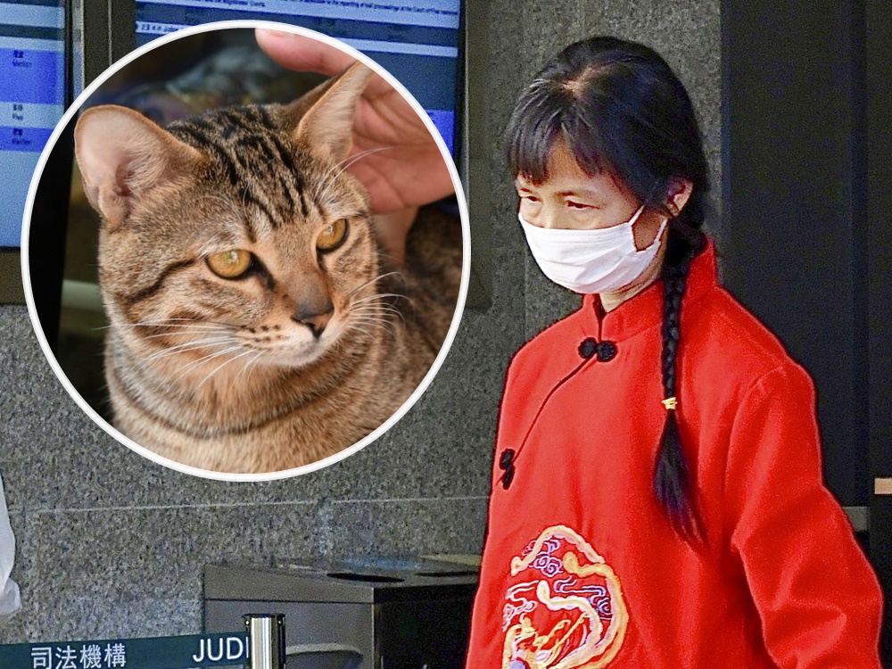 49歲被告李月霞。資料圖片