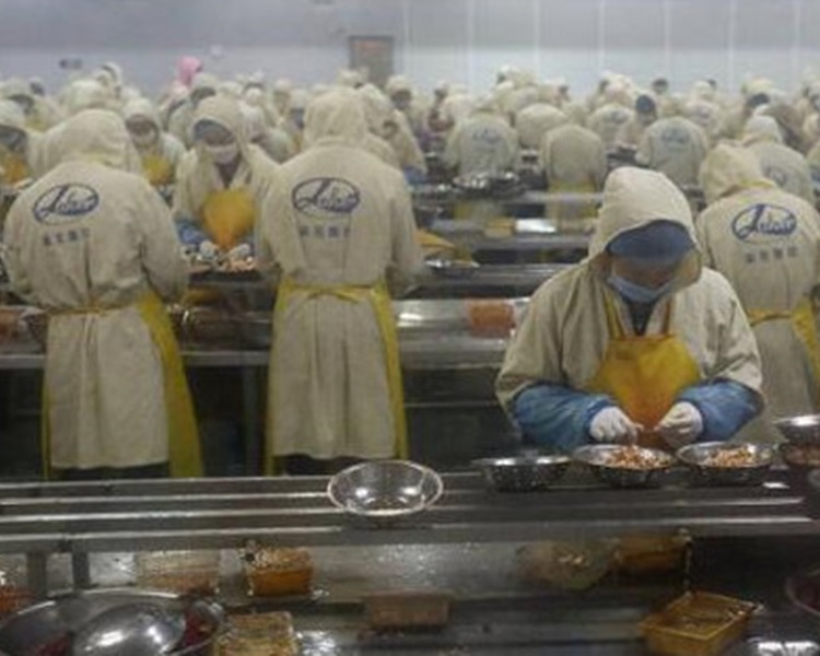 5000多名工人齊齊剝龍蝦。