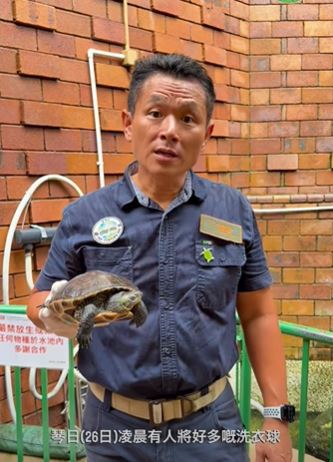 龜途人員對有關行為予以嚴厲的譴責。龜途 The Turtle's Inn 影片截圖