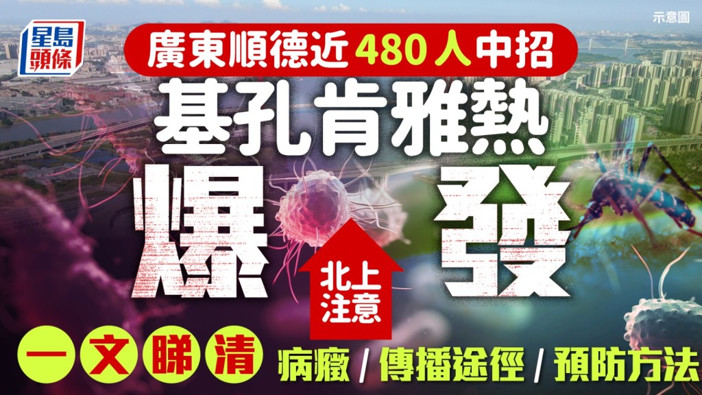 順德爆發「基孔肯雅熱」,已有478人中招,其病徵與登革熱相似。資料圖片