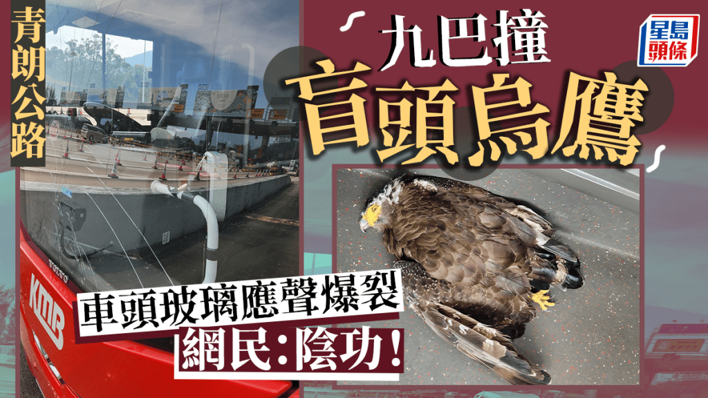 青朗公路九巴撞「盲頭烏鷹」 網民直呼：陰功