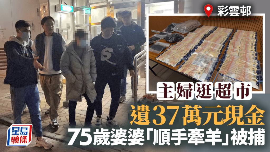 彩雲邨婦人帶37萬元現金逛超市 大意遺下背囊 75歲婆婆順手牽羊被捕 