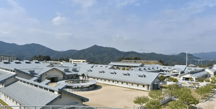從化馬場的馬房、跑步機等設施。中新社