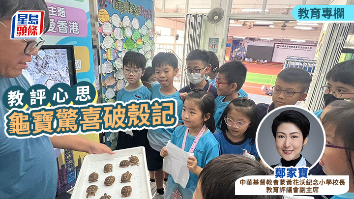 鄭家寶 - 龜寶驚喜破殼記|教評心思