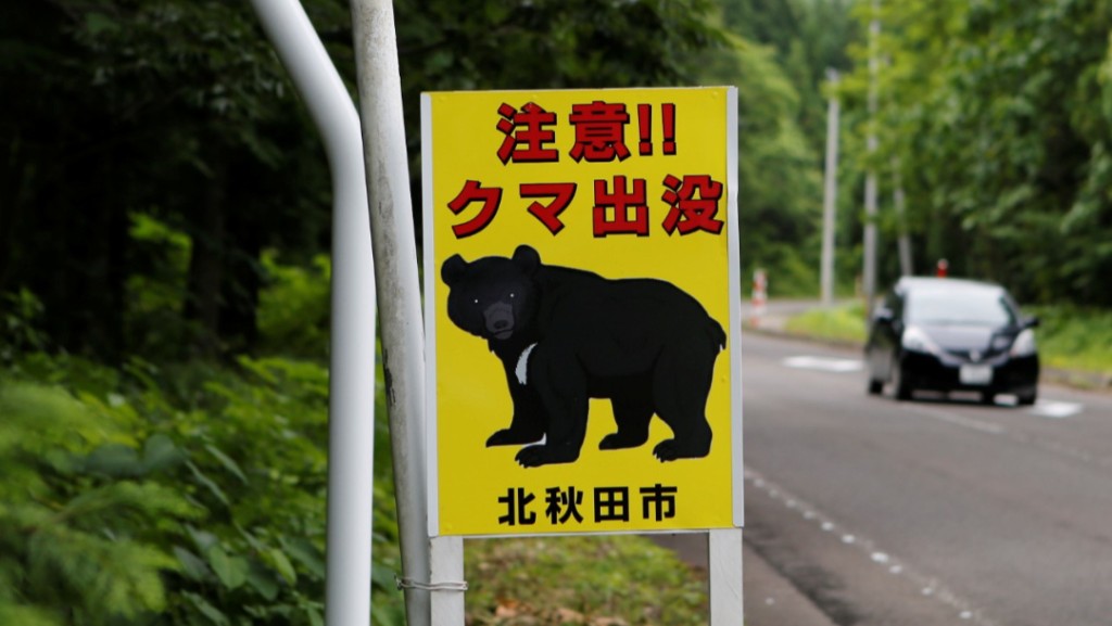 秋田縣近日再有熊出沒，已發生4宗熊襲人事件。路透社