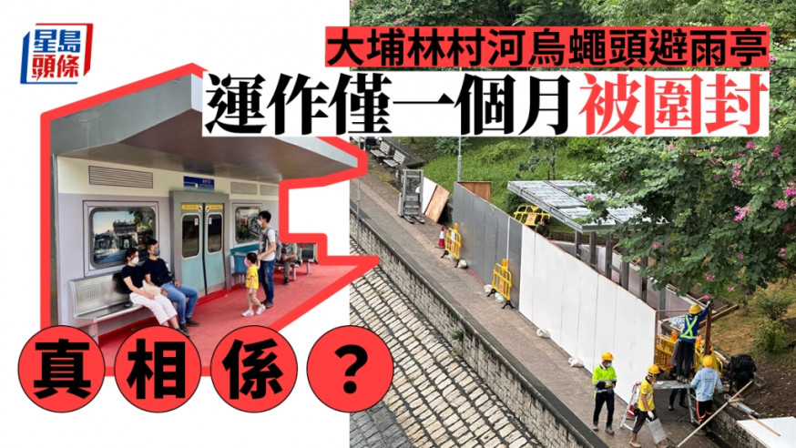 大埔林村河畔近東昌街康體大樓位置，早前新增了一個「烏蠅頭」列車車廂造型的避雨亭。