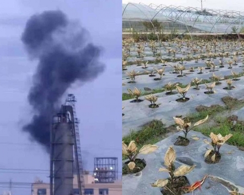江西化工廠疑泄漏有毒氣體。網圖