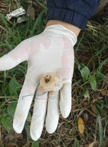 泰國警方在現場調查。Facebook@Drama-addict 泰國警方在現場調查。Facebook@Drama-addict