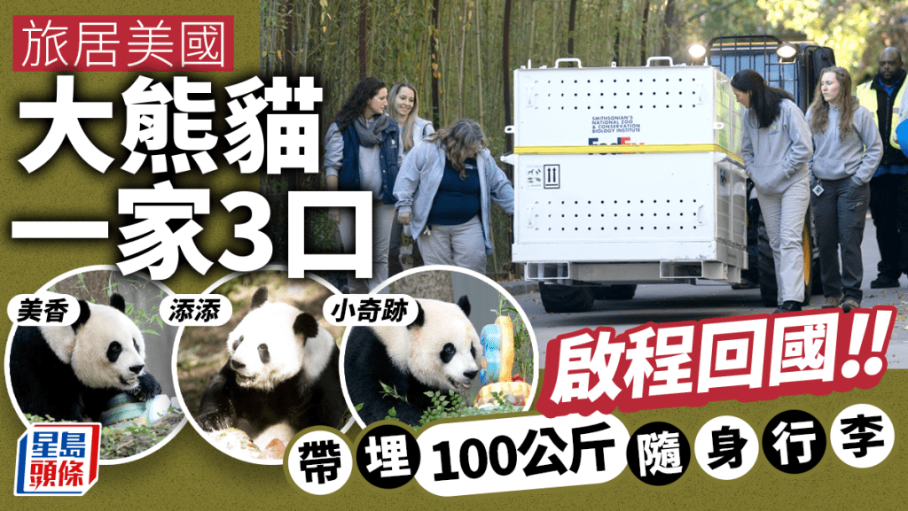 旅居美國大熊貓一家3口啟程回國。