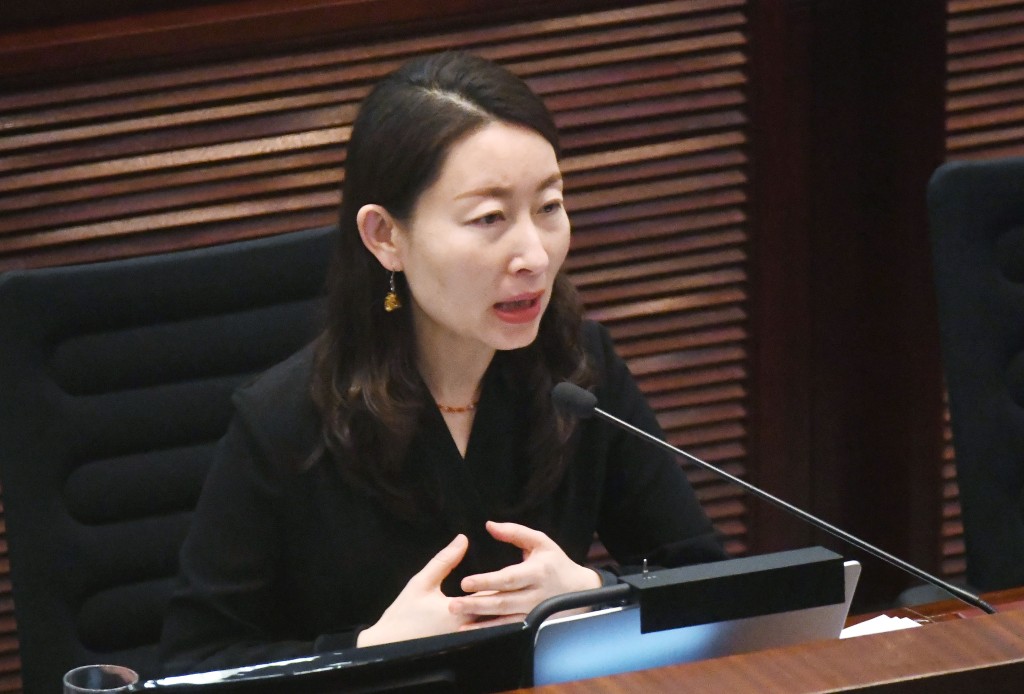 洪雯關注項目的造價問題。資料圖片 洪雯關注項目的造價問題。資料圖片