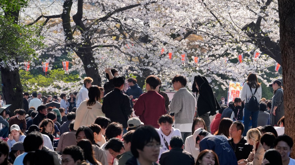 东京市中心樱花盛开,民众到上野公园赏花。 美联社 东京市中心樱花盛开,民众到上野公园赏花。 美联社
