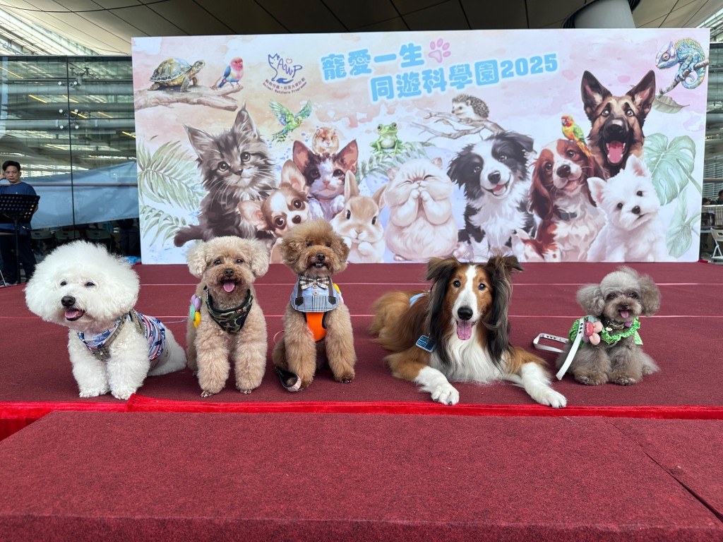 不少主人攜同愛寵到場支持。 不少主人攜同愛寵到場支持。