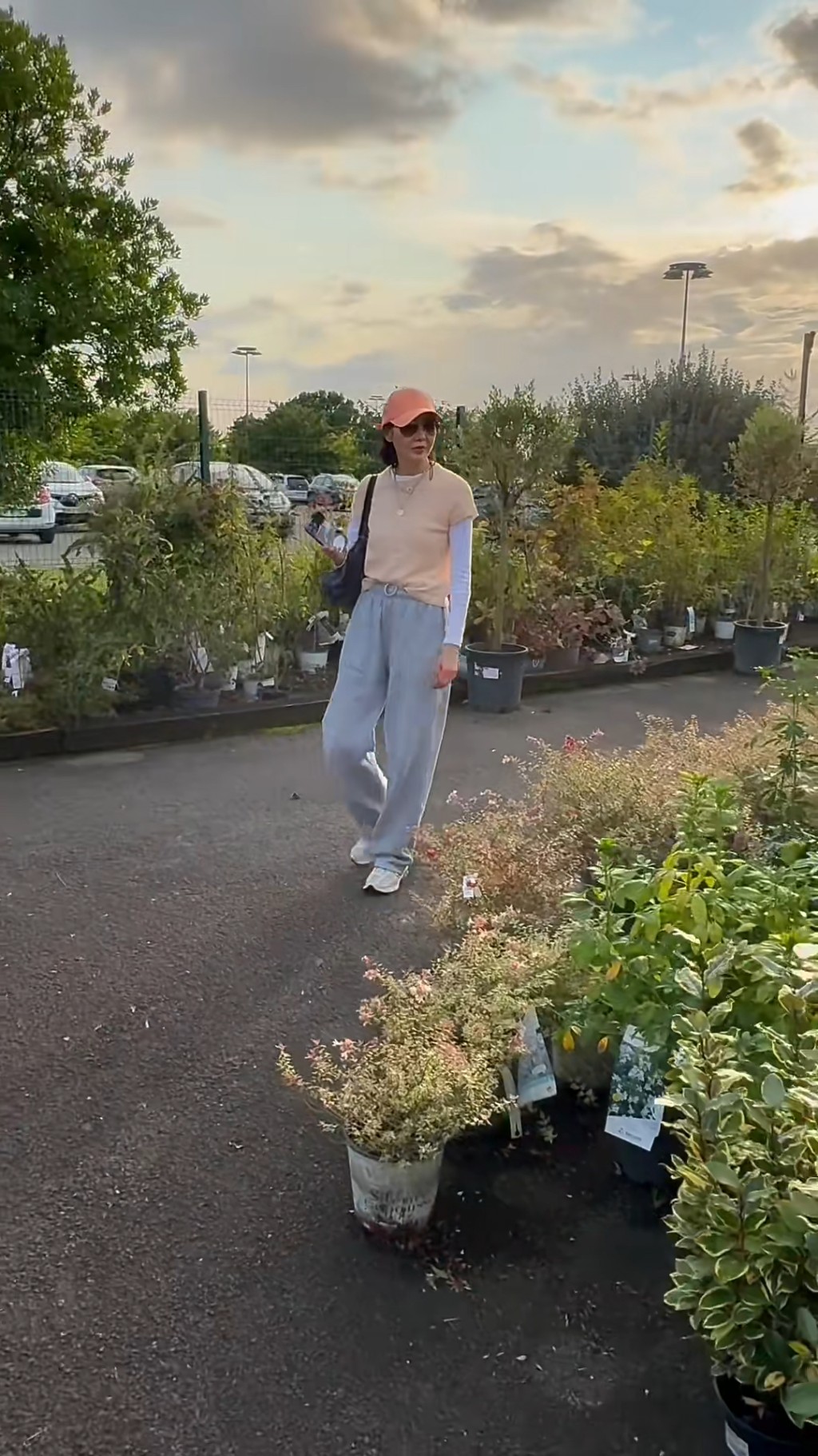 張曼玉早前已四出找種子。 張曼玉早前已四出找種子。