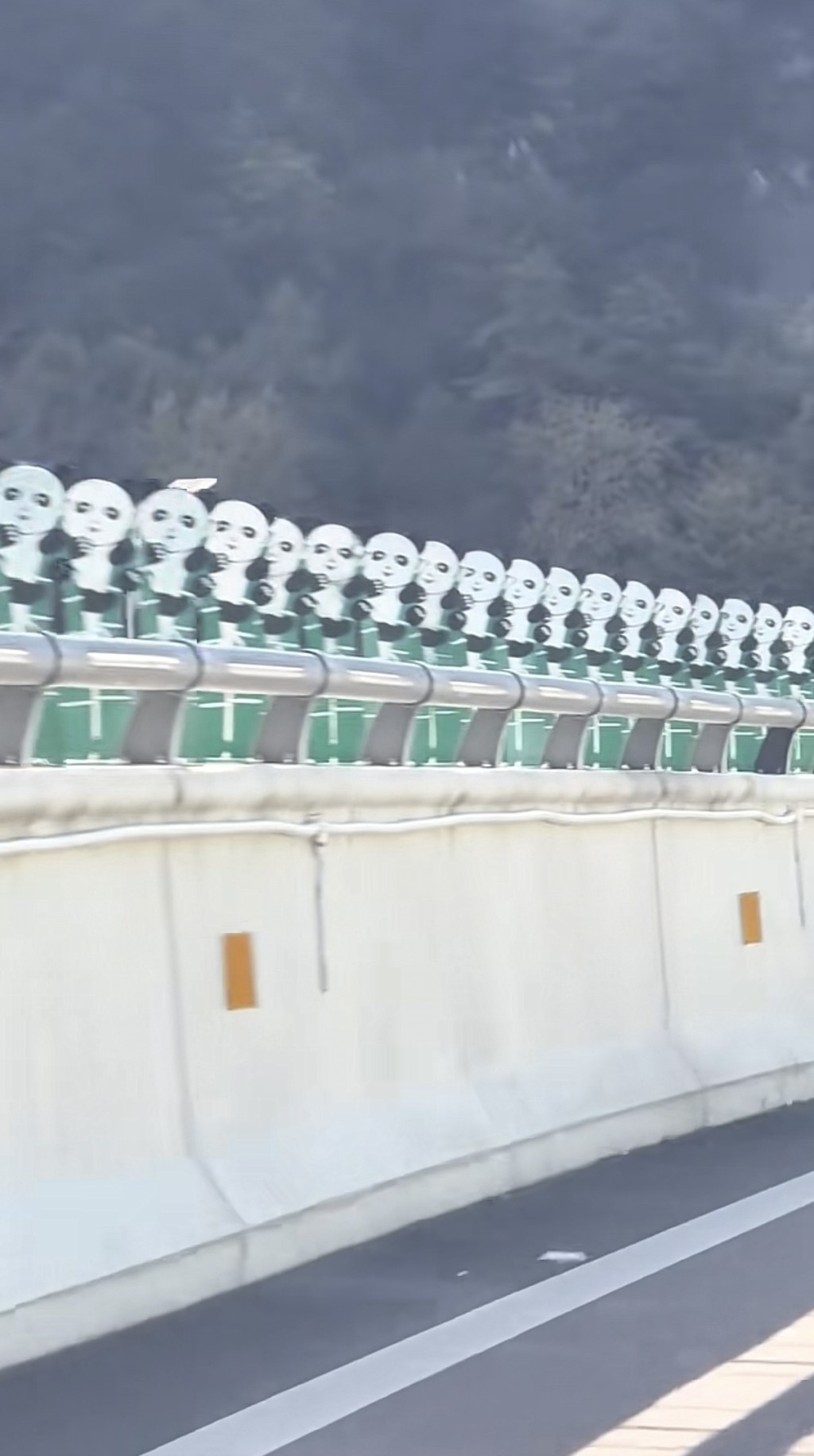 四川高速現詭異熊貓防眩板。抖音@是小鹿兒呀花藝婚禮 四川高速現詭異熊貓防眩板。抖音@是小鹿兒呀花藝婚禮