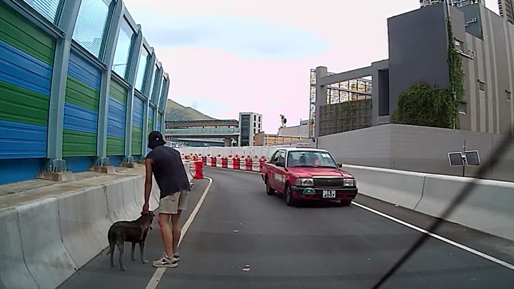 劉先生慢慢帶狗上車。網圖