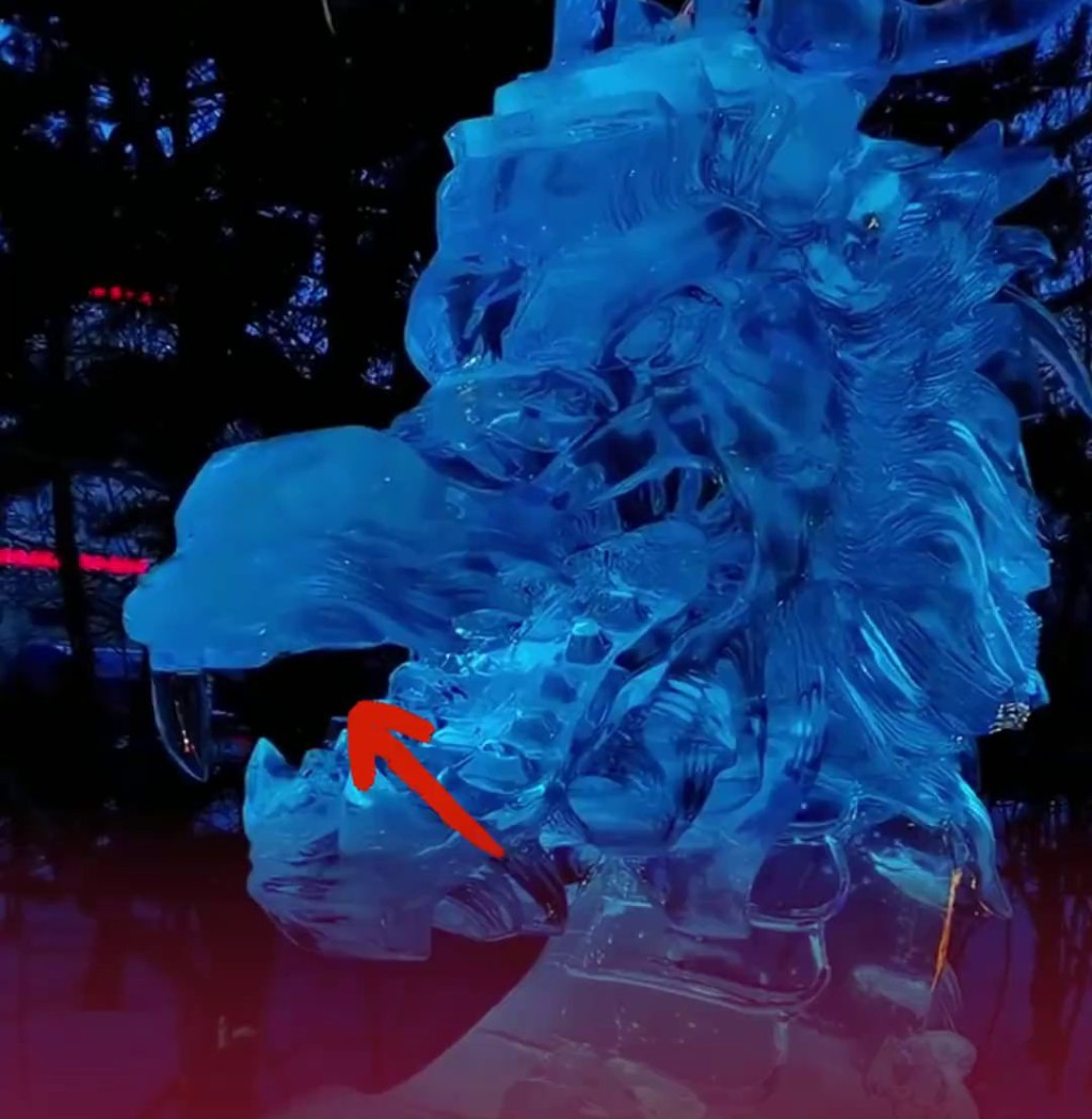 哈尔滨巨龙冰雕被游客「拔牙」。