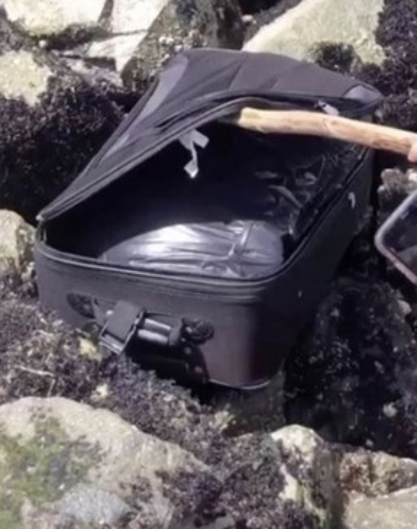 箱内只见黑色胶袋。网图