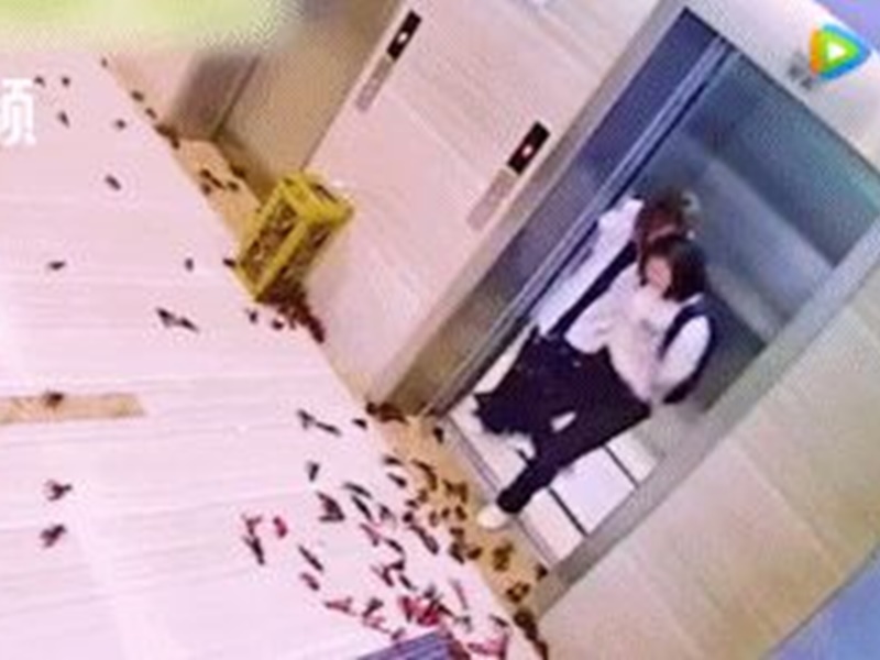 同事翌日返工一出電梯就見到這嚇人一幕。網圖