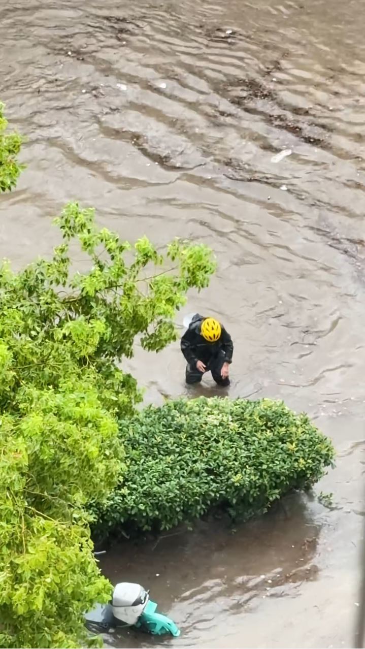小周無助地在積水中找手機引起網民關注。