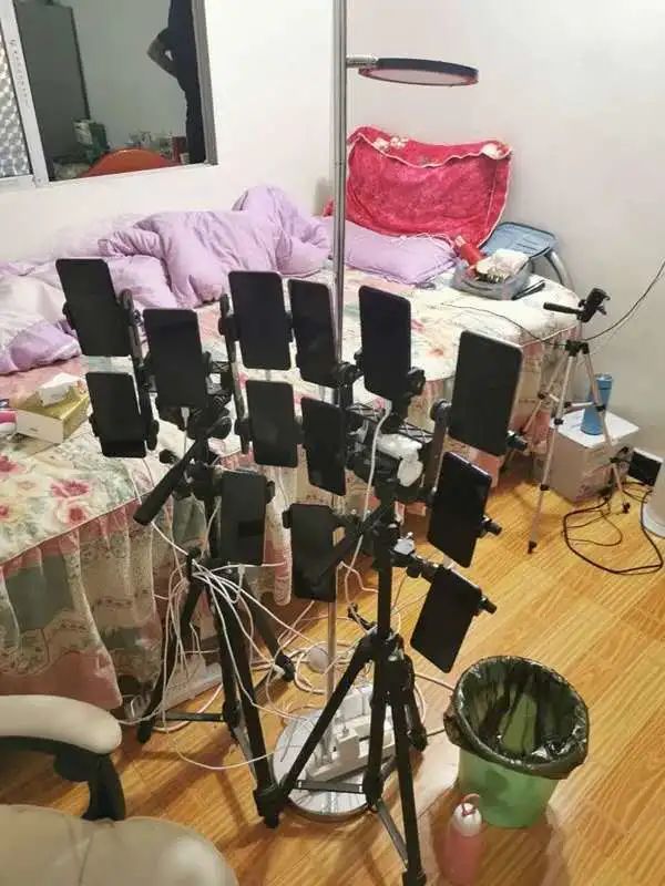 網圖