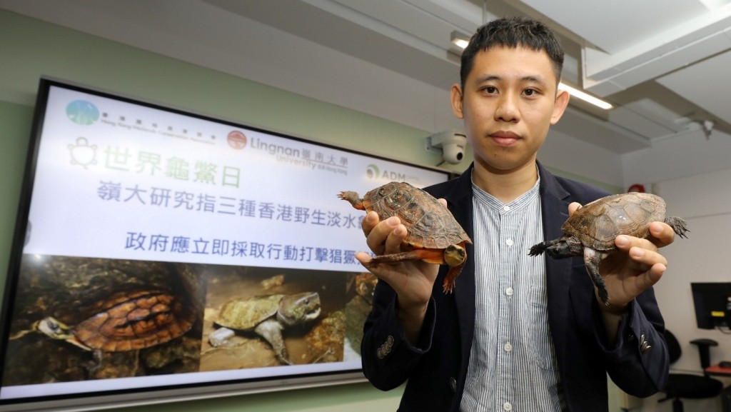 嶺大科學教研組助理教授宋亦希教授促請政府,立即採取行動打擊猖獗捕獵行為。(嶺大提供)