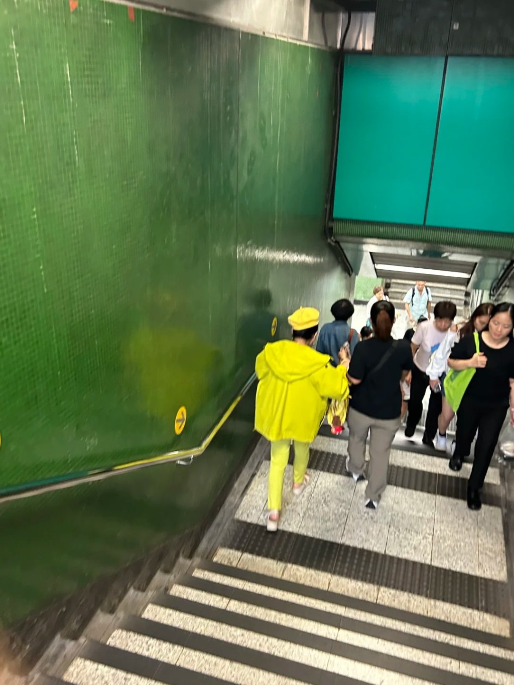 薛家燕被指步履蹣跚。 薛家燕被指步履蹣跚。