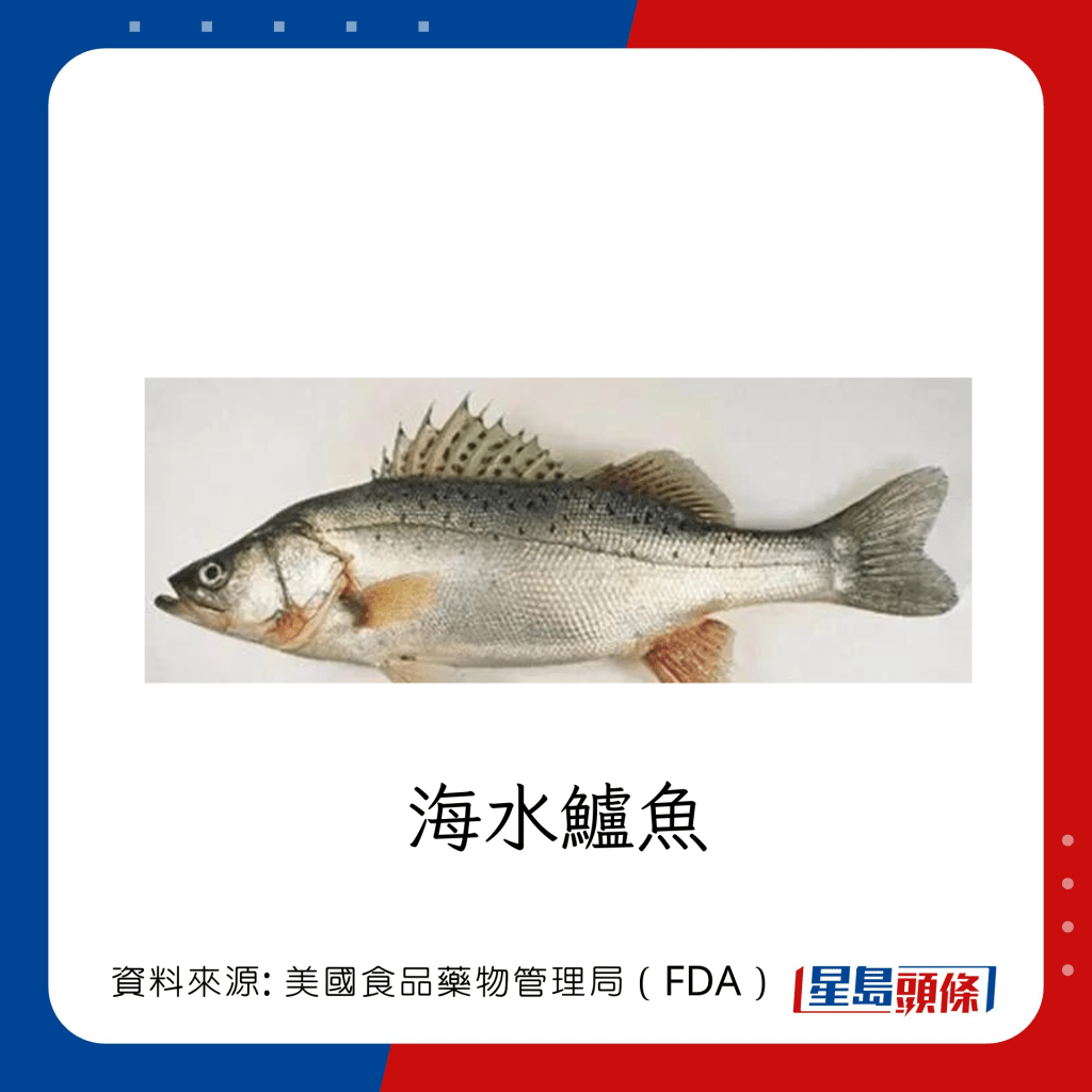 低水銀魚類 海水鱸魚