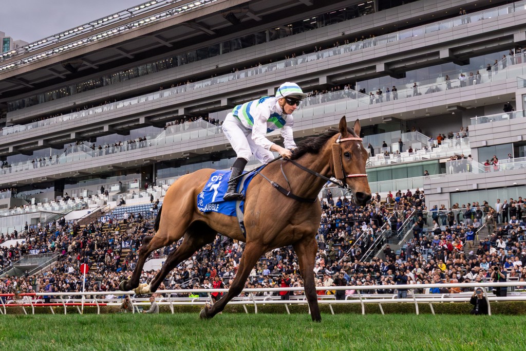 「遨遊氣泡」至今兩勝2000米賽事。 「遨遊氣泡」至今兩勝2000米賽事。