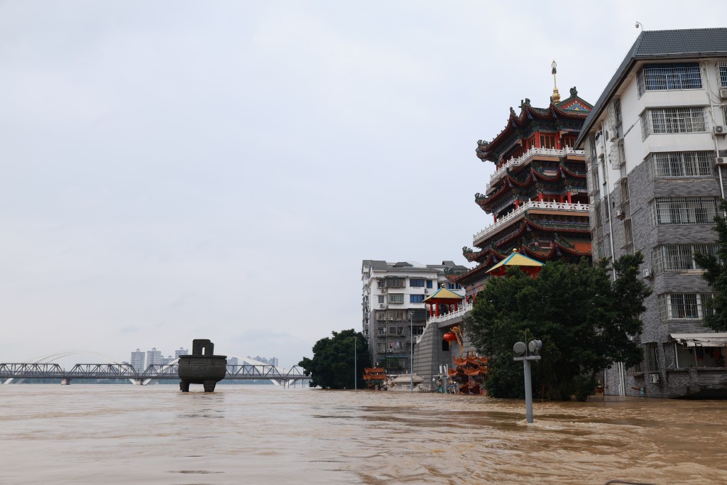柳江水位上涨，形成「柳江2024年第1号洪水」。（中新社）