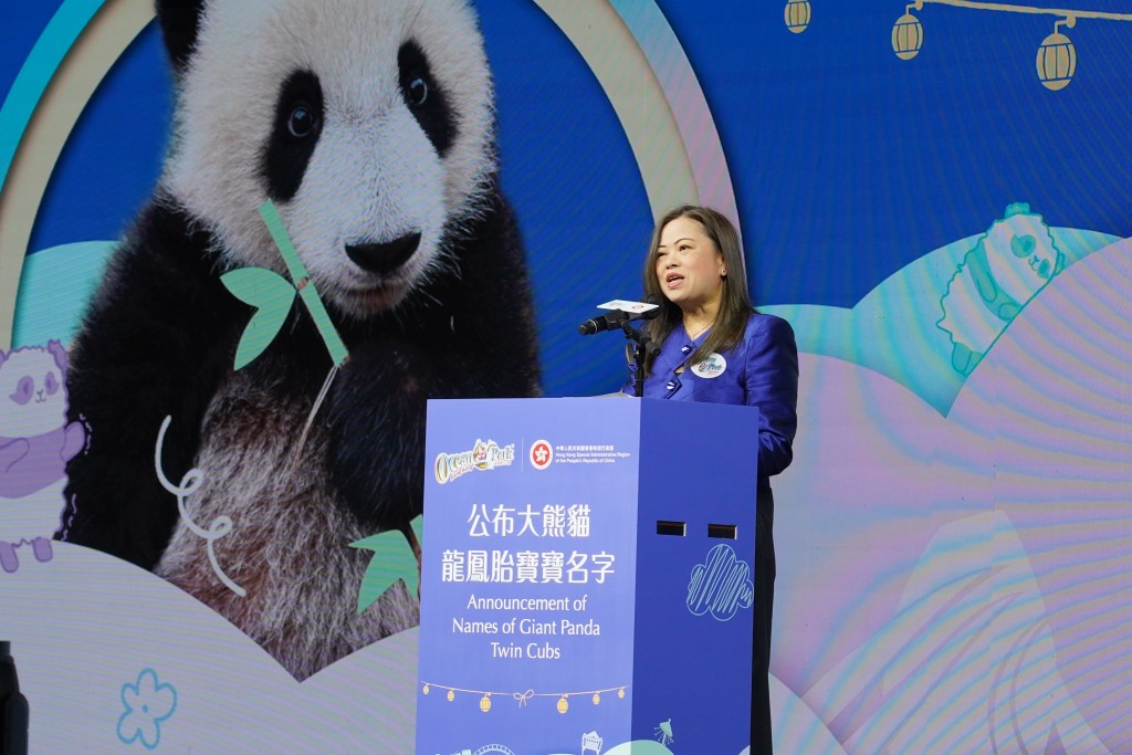 羅淑佩指,翻閱市民的姓名建議時,感受到市民對龍鳳胎寶寶寵愛有加。葉偉豪攝 羅淑佩指,翻閱市民的姓名建議時,感受到市民對龍鳳胎寶寶寵愛有加。葉偉豪攝