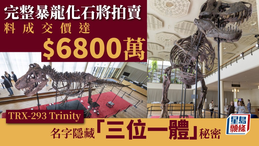 6700萬年歷史暴龍化石4月拍賣，估值6800萬港元。 路透