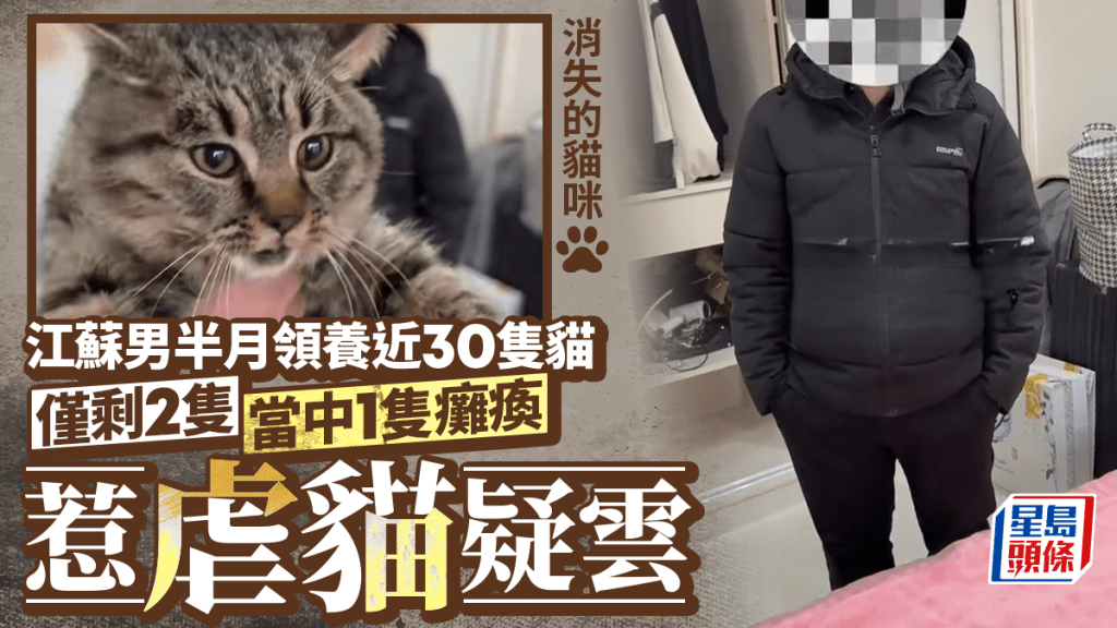 虐貓疑雲｜江蘇男半月領養近30隻貓  今僅剩2隻當中1隻癱瘓