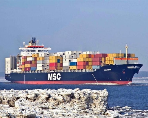 貨船正停泊在南丫島附近海域接受海上隔離。海事實時資訊網站Marine Traffic圖片