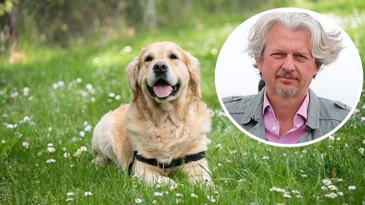 英國市議員豪威爾(小圖,網上圖片)指大型犬產生碳排等同一輛車,言論引發爭議。背景為Unsplash示意圖