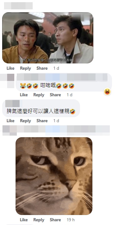 網民找來周星馳滿臉唇印的相片與貓咪對比。網上截圖